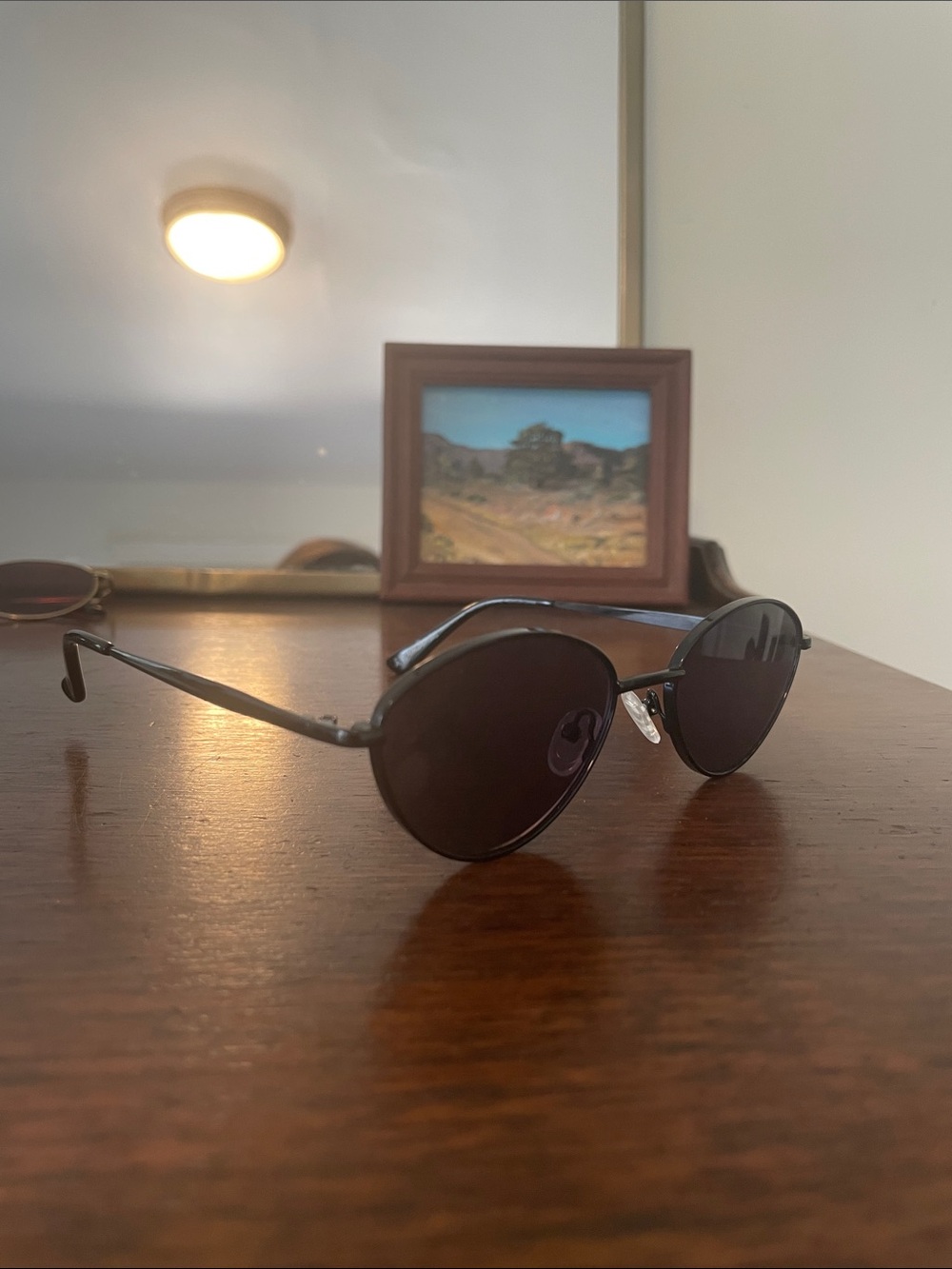 Wire Frame Oval Sunglasses - Picture 4 of 4